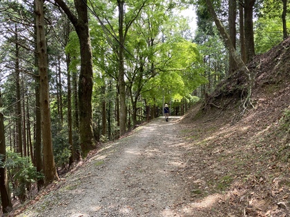 登山ルートを模索する