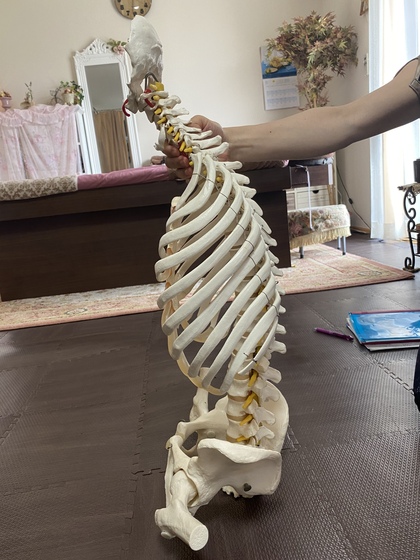 猫背でお困りのお客様