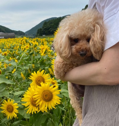 季節の変わり目にお気をつけくださいませ　