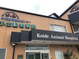 奇跡を力に変える